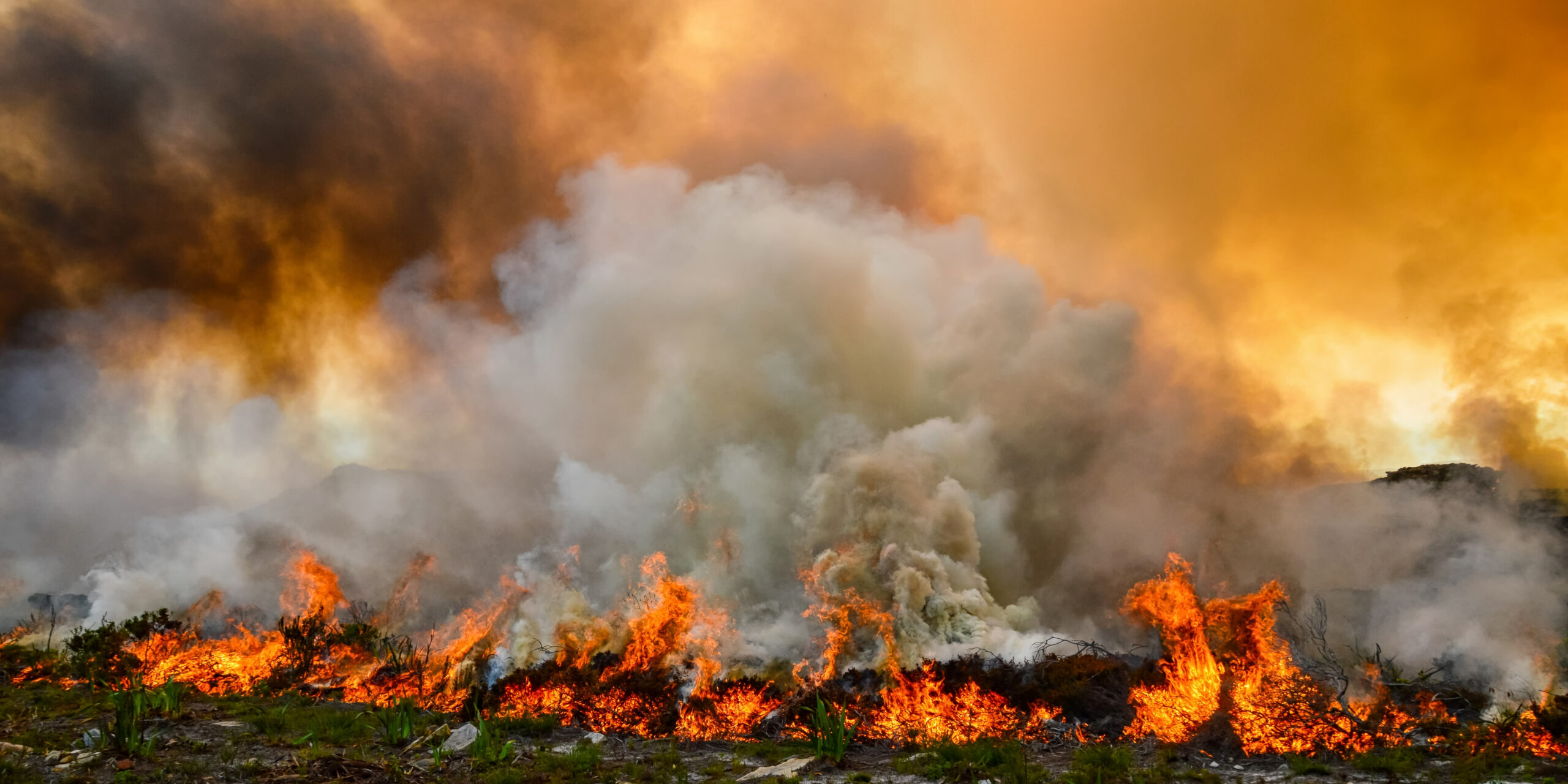 Chiang Mai Faces Hazardous Smog as Agricultural Burning and Wildfires Drive Record Air Pollution in Northern Thailand - News Directory 3